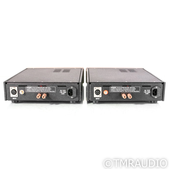 Atma-Sphere Class D Monoblock Power Amplifiers; Pair