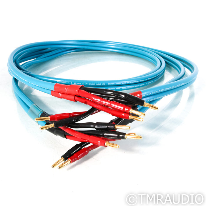 WireWorld Atlantis III Bi-Wire Speaker Cables; 2.5m Pair