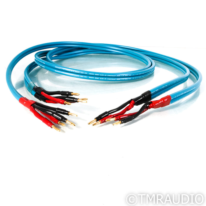 WireWorld Atlantis III Bi-Wire Speaker Cables; 2.5m Pair