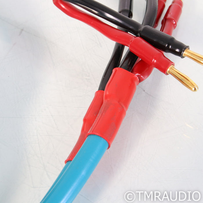 WireWorld Atlantis III Bi-Wire Speaker Cables; 2.5m Pair