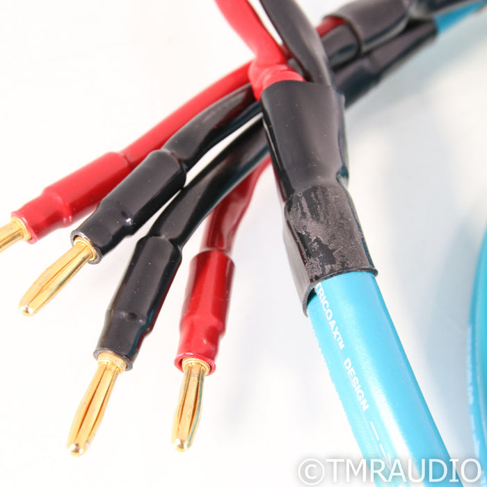 WireWorld Atlantis III Bi-Wire Speaker Cables; 2.5m Pair