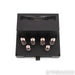 Black Ice Audio FX10 Stereo Tube Integrated Amplifier