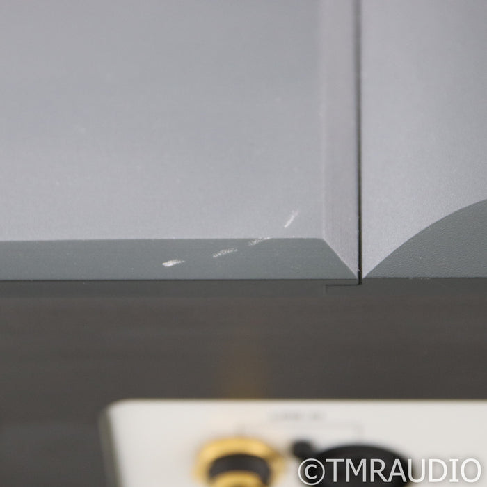 Aavik M-300 Monoblock Power Amplifiers; Pair