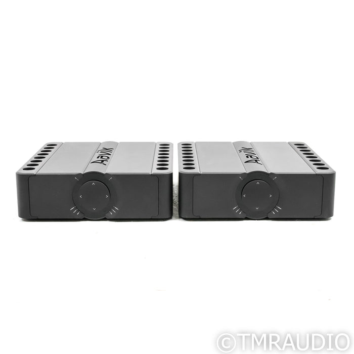 Aavik M-300 Monoblock Power Amplifiers; Pair