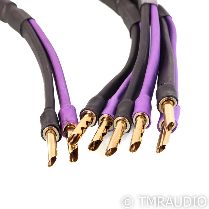 Analysis Plus Clear Oval Speaker Cables; 25' Pair