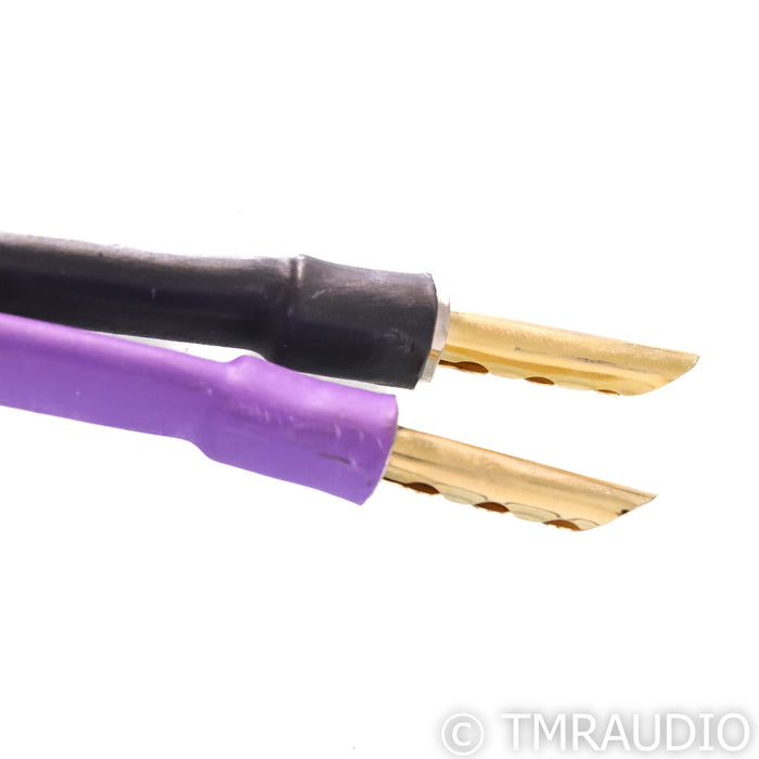 Analysis Plus Clear Oval Speaker Cables; 25' Pair