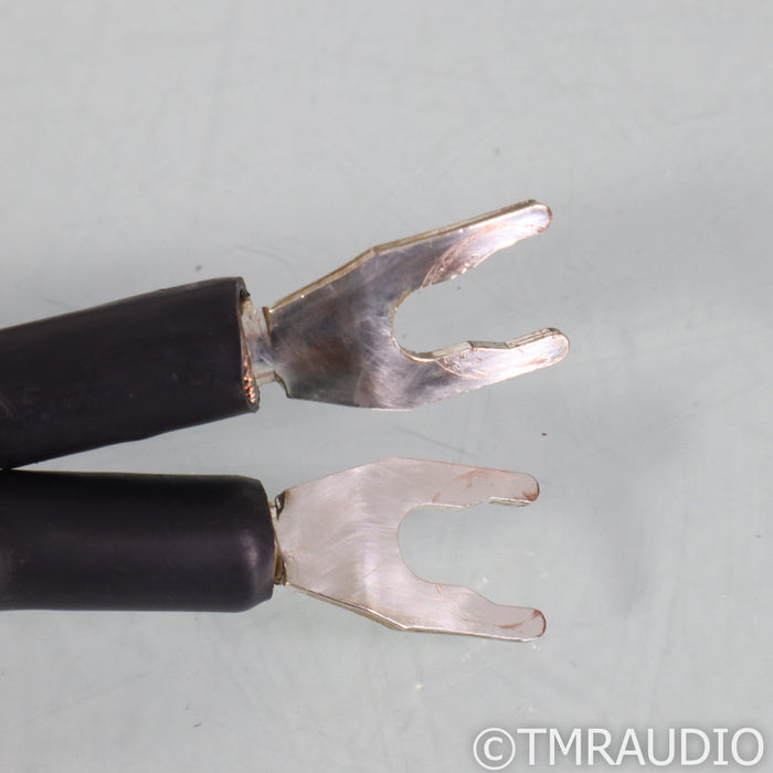 WireWorld Silver Eclipse 8 Speaker Cables; 2m Pair