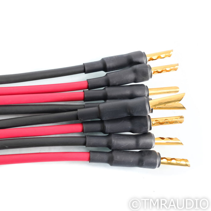 Audience Au24 SE Speaker Cables; 2m Pair