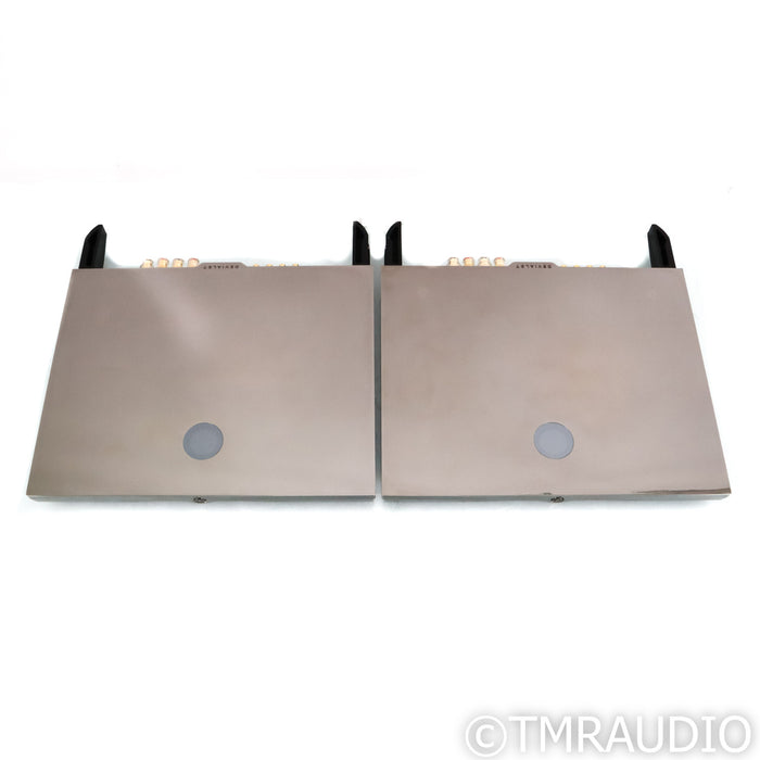 Devialet Expert 400 Integrated Amplifiers; Pair; MM & MC Phono
