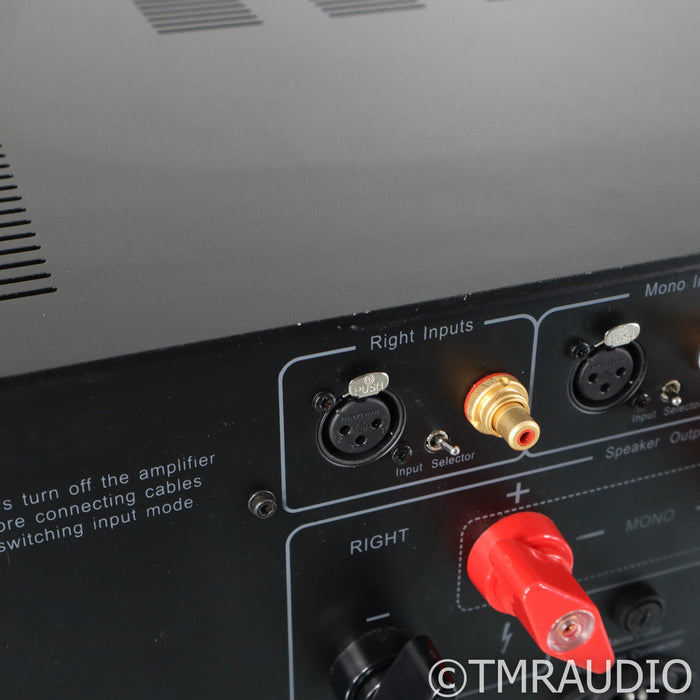 Hegel H30 Stereo / Mono Power Amplifier