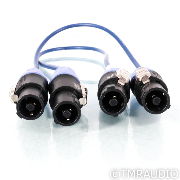 REL Acoustics Bassline Blue Line Array SpeakOn Cables; .5m Pair