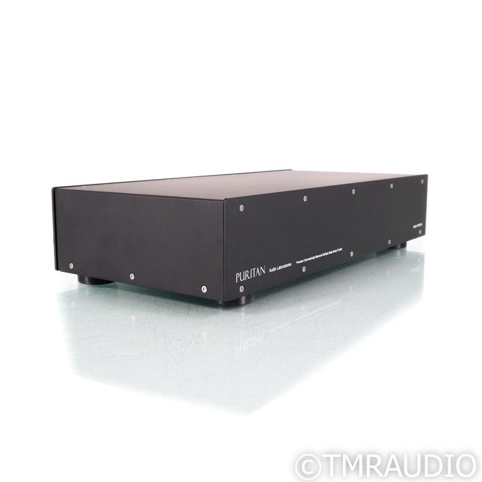 Puritan Audio Labs PSM156 AC Power Conditioner