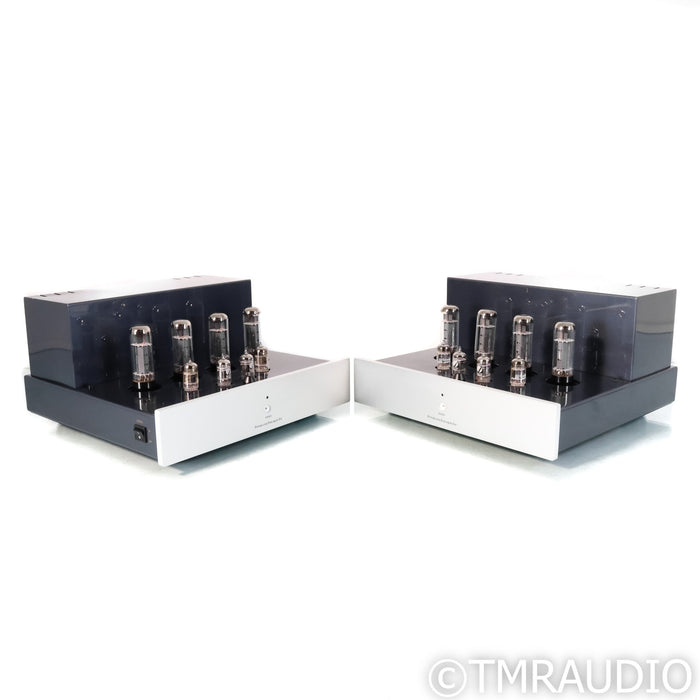 PrimaLuna Dialogue 6 Tube Monoblock Power Amplifiers; Pair