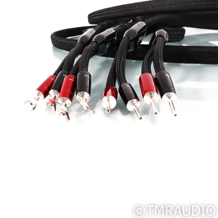 AudioQuest Dragon ZERO Speaker Cables; 3m Pair