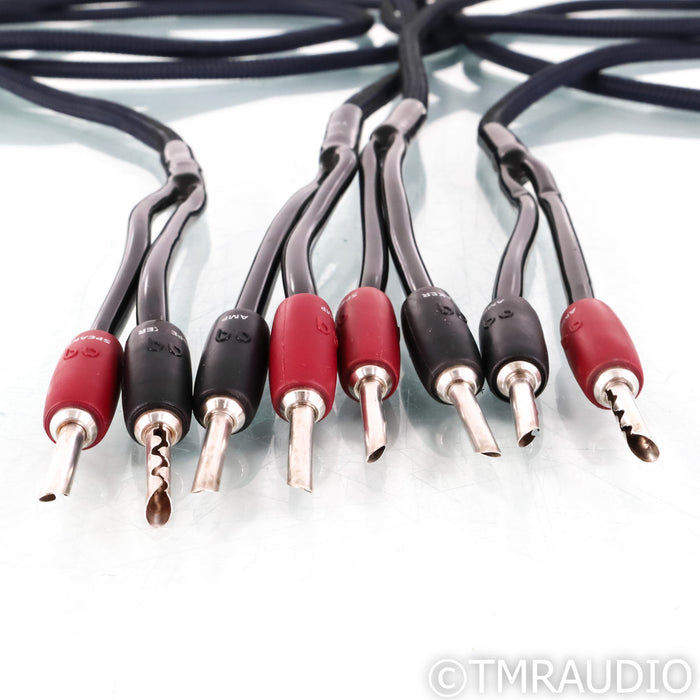 AudioQuest Type 4 Speaker Cables; 3m Pair