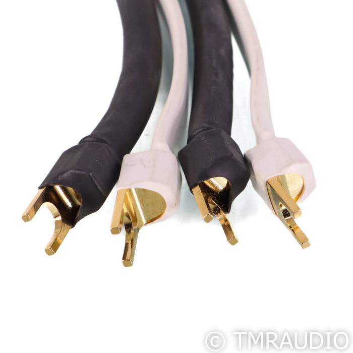 Analysis Plus Big Silver Oval Speaker Cables; 10ft Pair