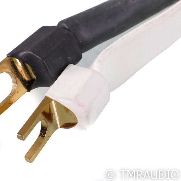 Analysis Plus Big Silver Oval Speaker Cables; 10ft Pair