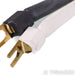 Analysis Plus Big Silver Oval Speaker Cables; 10ft Pair