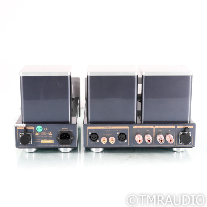 Cayin HA-300 MK2 Stereo Tube Integrated Headphone Amplifier