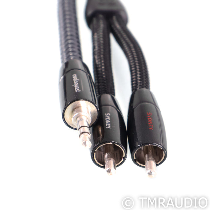 AudioQuest Sydney 3.5mm to Stereo RCA Cable; Single 1.5m Interconnect