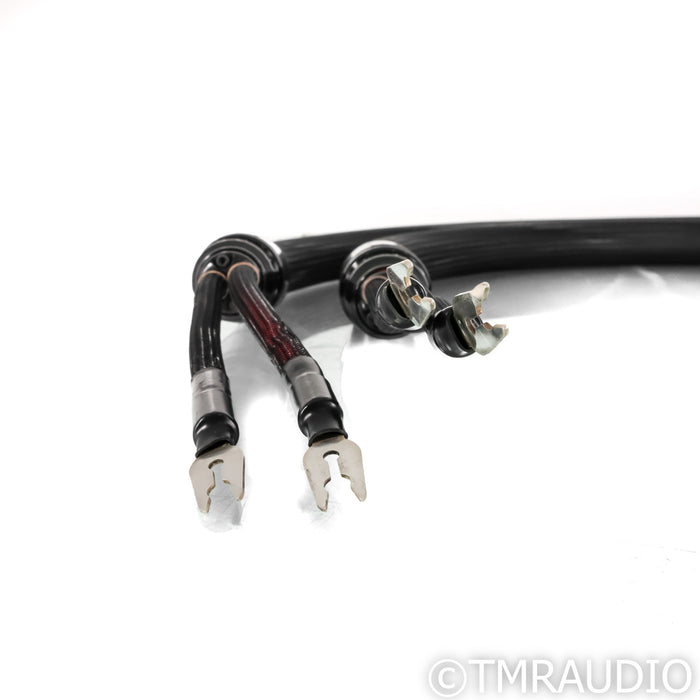 Stage 3 Concepts Mantikor Speaker Cables; 1.5m Pair