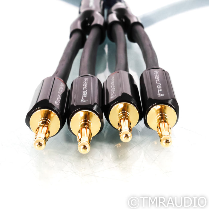 Tributaries Series 4 Bi-Wire Speaker Cables; 8ft Pair (Open Box)