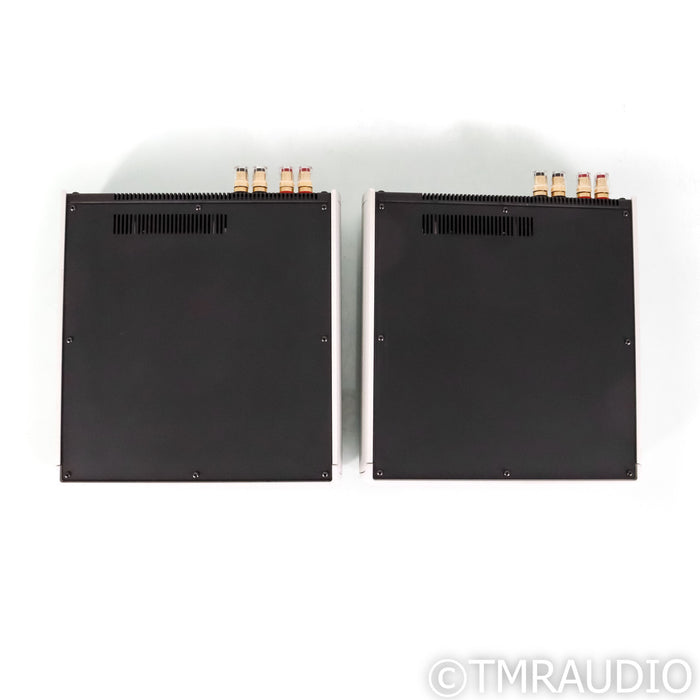 Audio Alchemy DPA-1M Monoblock Power Amplifiers; Pair