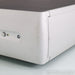 Audio Alchemy DPA-1M Monoblock Power Amplifiers; Pair