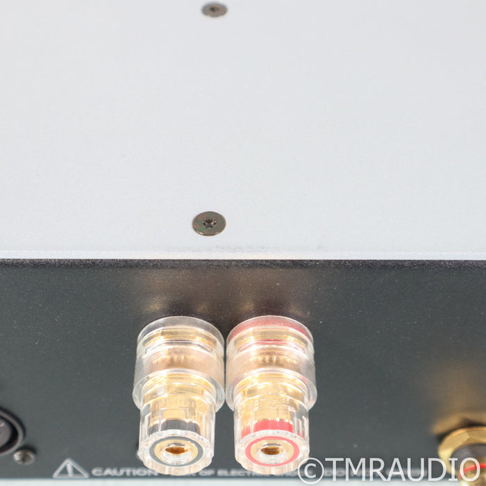 Wyred 4 Sound ST-1000 Stereo Power Amplifier