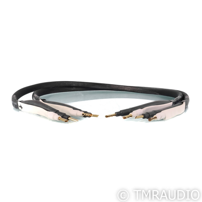 Analysis Plus Silver Apex Speaker Cables; 4' Pair