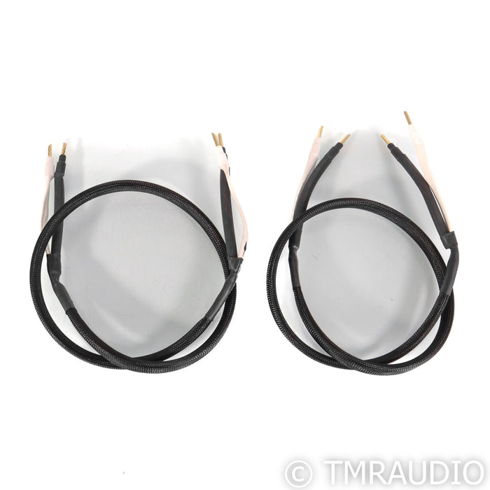Analysis Plus Silver Apex Speaker Cables; 4' Pair