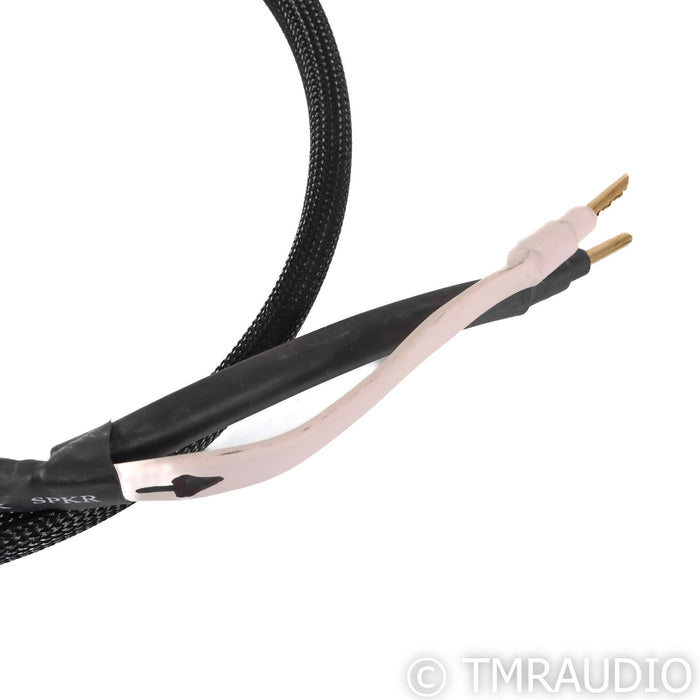 Analysis Plus Silver Apex Speaker Cables; 4' Pair