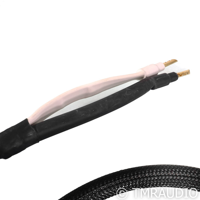 Analysis Plus Silver Apex Speaker Cables; 4' Pair