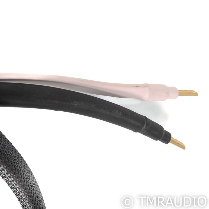 Analysis Plus Silver Apex Speaker Cables; 4' Pair