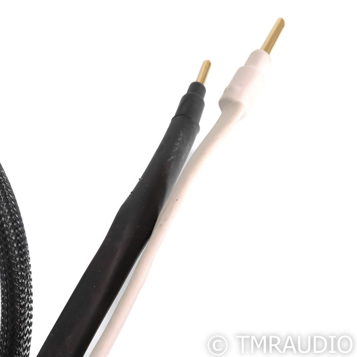 Analysis Plus Silver Apex Speaker Cables; 4' Pair
