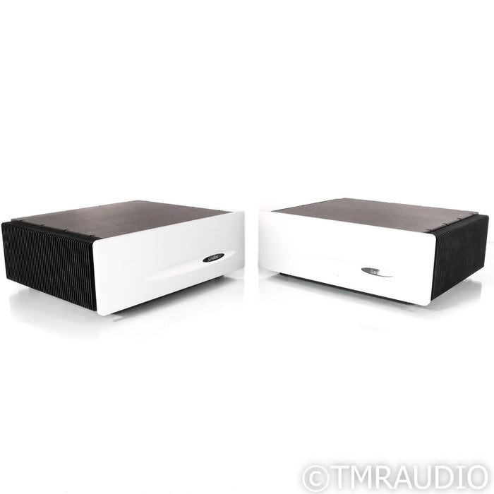 Sanders Sound Systems ESL Monoblock Power Amplifiers; Pair