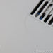 Bricasti Design M1SE DAC; D/A Converter