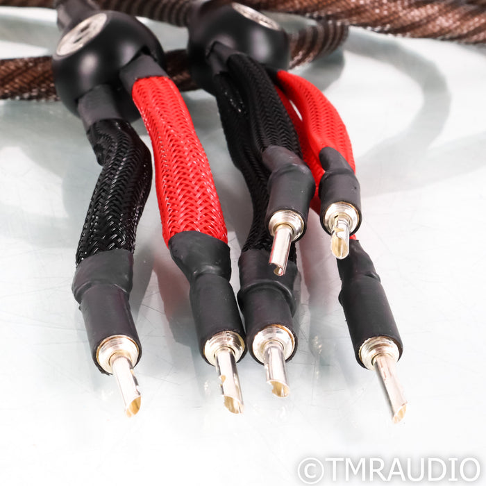 WireWorld Eclipse 8 Bi-Wire Speaker Cables; 12ft Pair
