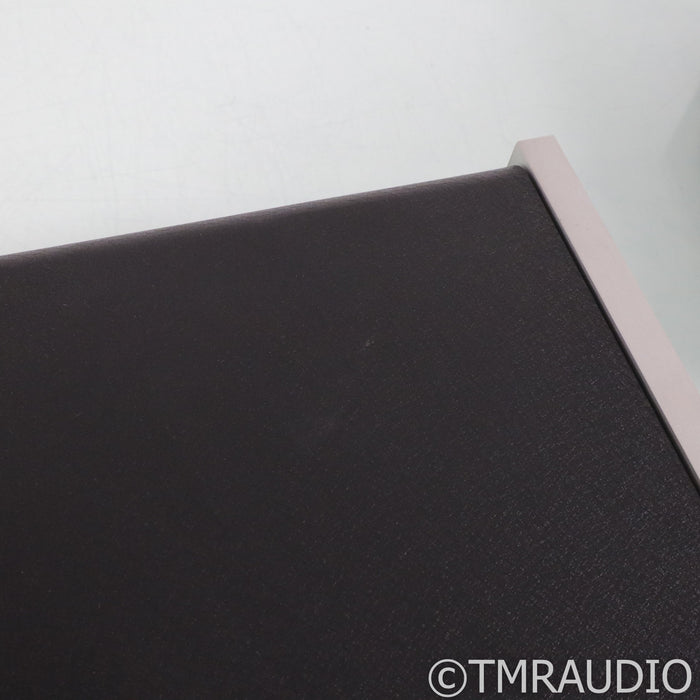 Bel Canto REF500M Monoblock Power Amplifiers; Pair