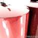 Bowers & Wilkins Signature 805 Bookshelf Speakers; Red Cherry Pair