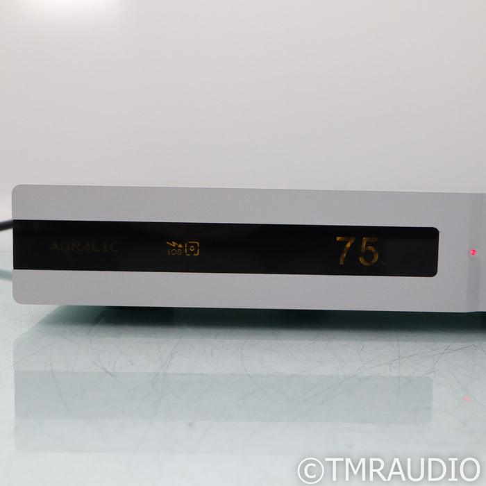 Auralic Vega DAC; D/A Converter