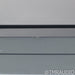 PS Audio Perfectwave DirectStream DAC; D/A Converter; Bridge II