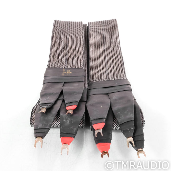 MG Audio Planus III Speaker Cables; 8ft Pair