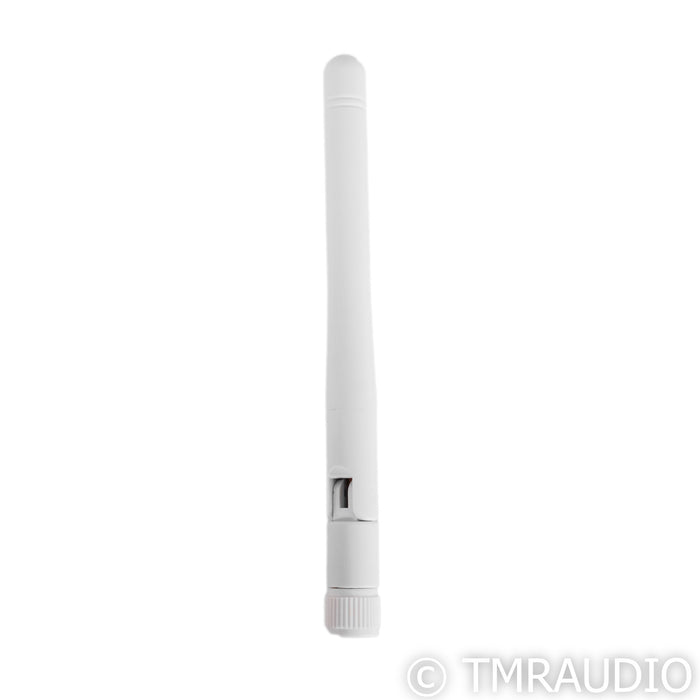 iFi Audio Pro iDSD Hybrid DAC & Headphone Amplifier; iPower Elite PSU Upgrade