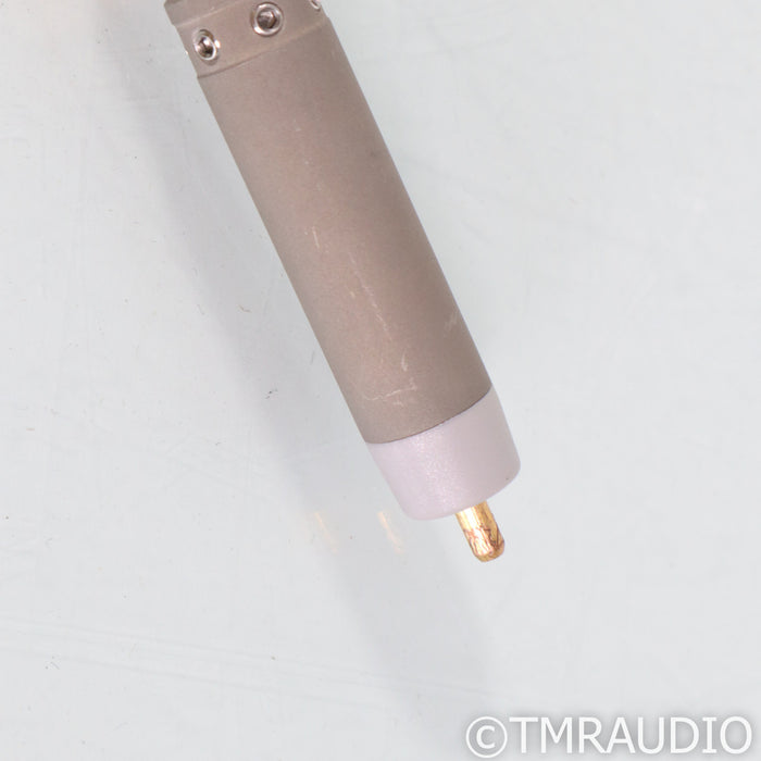 Ansuz Sortz Signature RCA Noise Reduction Plug