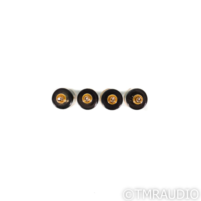 Bybee Technologies Plug-In Speaker Bullet Kit; Set of 4