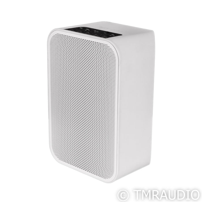 Bluesound Pulse Flex 2i Bluetooth Speaker; White