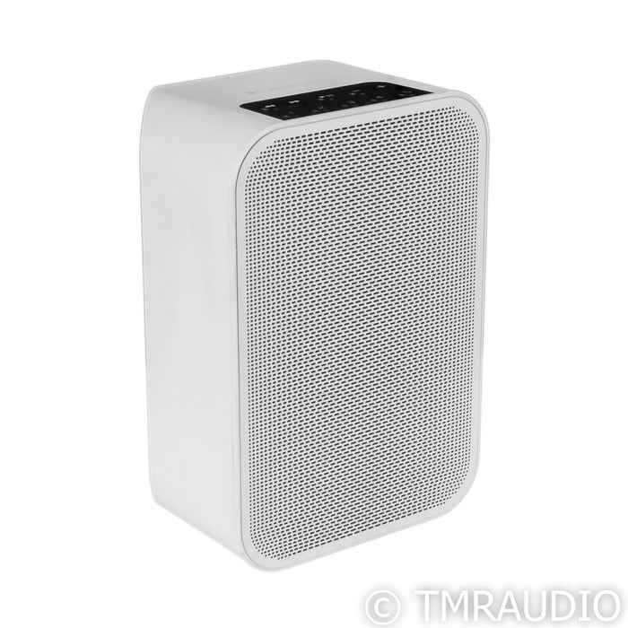 Bluesound Pulse Flex 2i Bluetooth Speaker; White