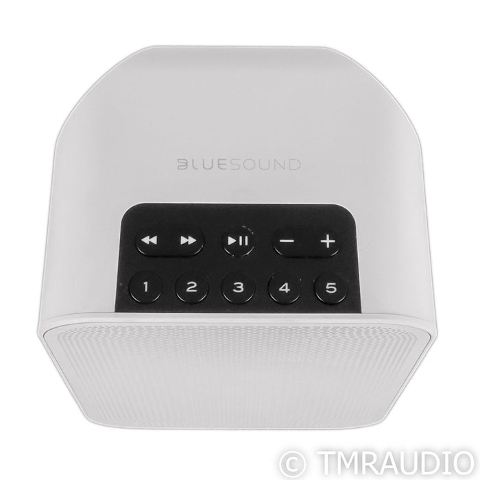 Bluesound Pulse Flex 2i Bluetooth Speaker; White