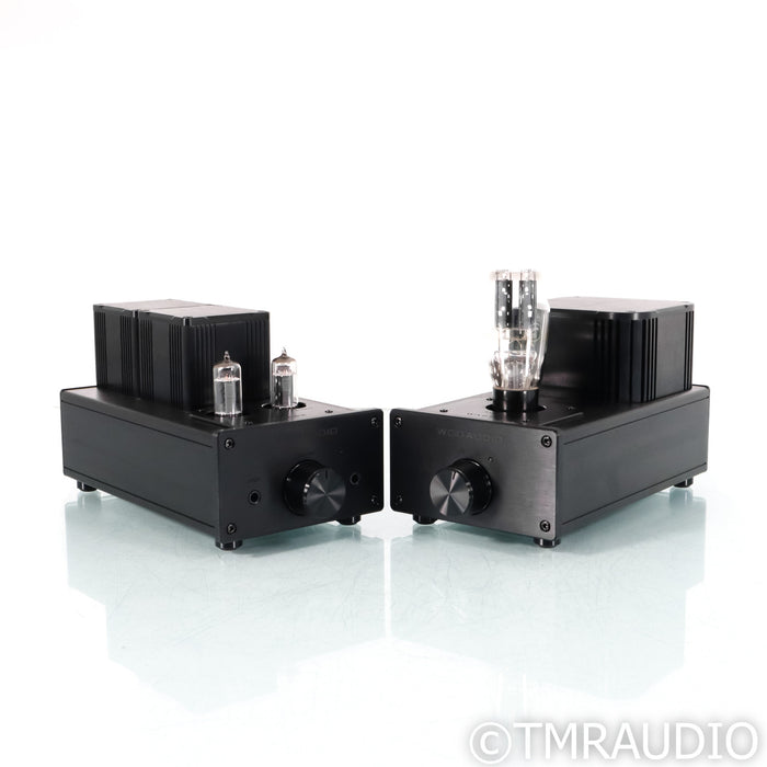 Woo Audio WA6-SE Tube Headphone Amplifier; 2nd Gen